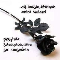 Wyrazy współczucia