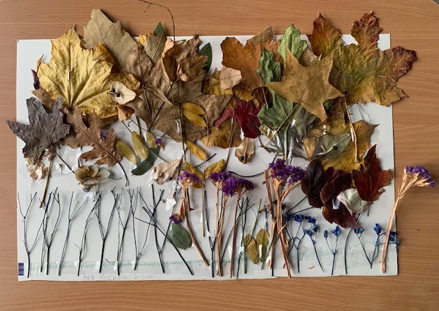 Tropiciele śledzą jesienne zmiany w przyrodzie