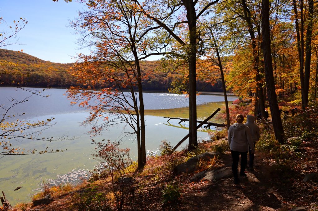 Harrimann State Park zachwycił nas jesienną szatą