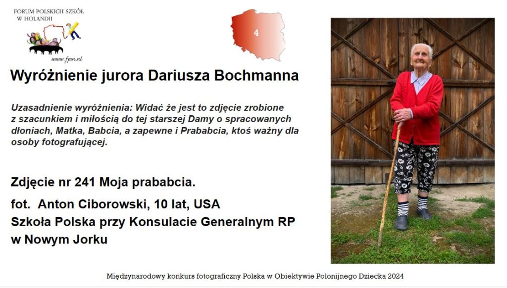 Polska w obiektywie polonijnego dziecka